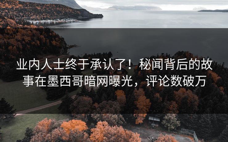 业内人士终于承认了！秘闻背后的故事在墨西哥暗网曝光，评论数破万