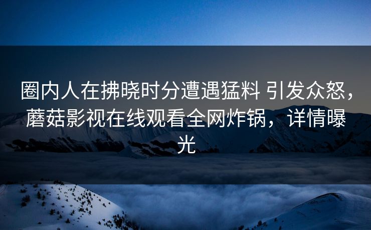 圈内人在拂晓时分遭遇猛料 引发众怒，蘑菇影视在线观看全网炸锅，详情曝光